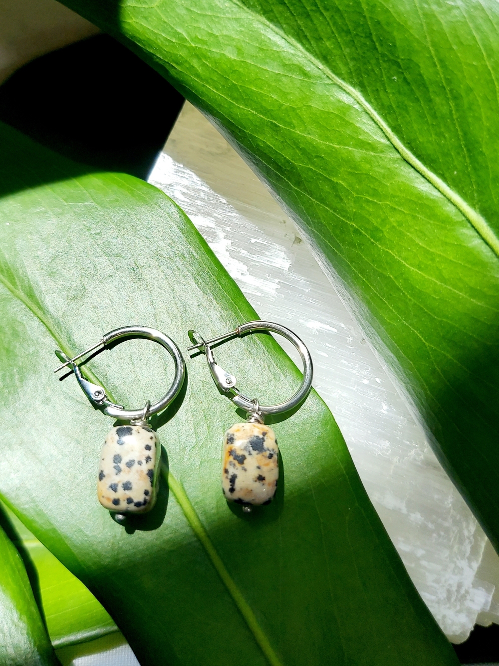 Dalmatian Jasper Hoop Earrings in Cream and Black